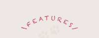 FEATURES
